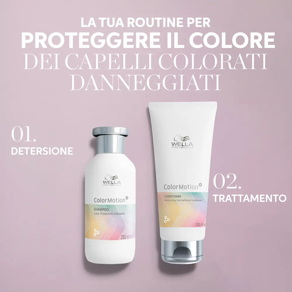 colormotion.webp
